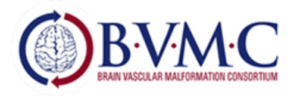 BVMC Logo