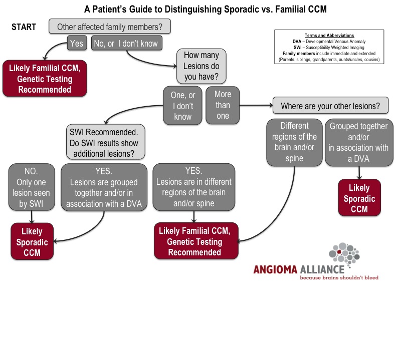 Flow chart to determine if CCM genetic testing is needed
