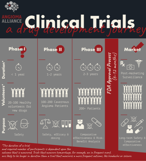 Clinical Trial Phases Infographic