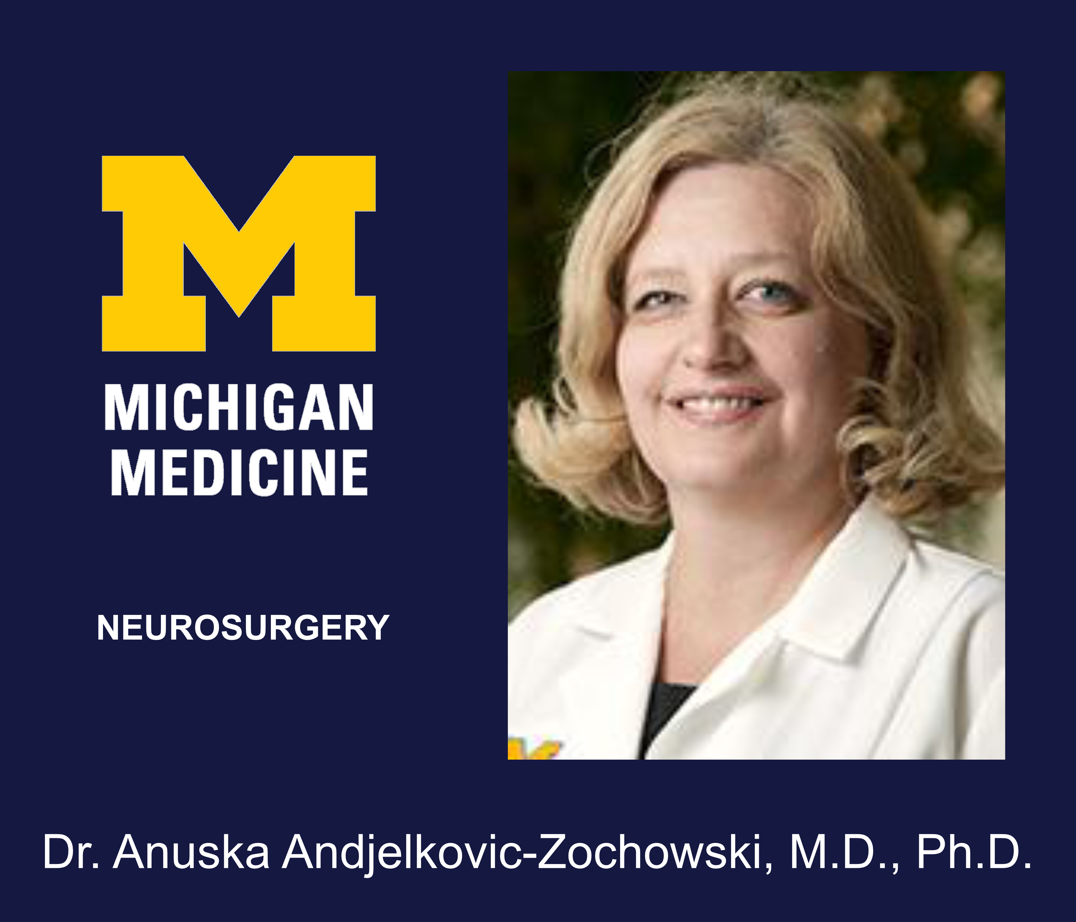 Webinar: Cerebrovascular Malformation – Solving the Problem of a Leaky Lesion